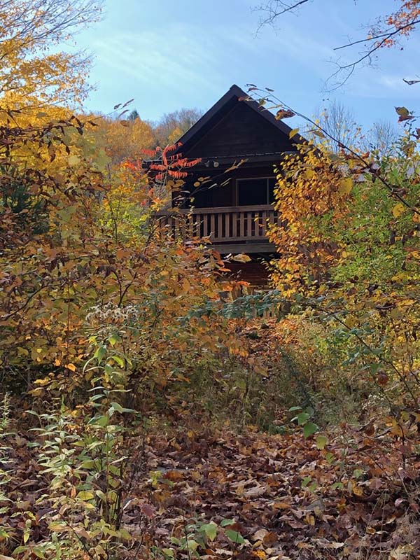 J&S Creekside Cabins exterior Livingston Manor