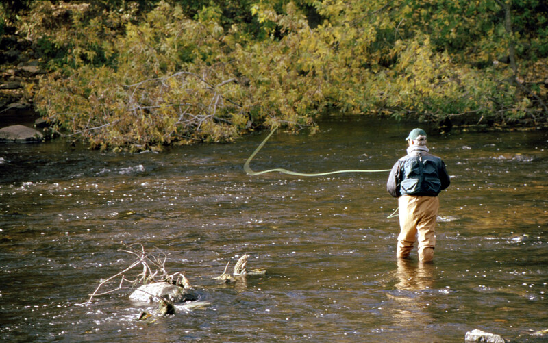 J&S Creekside Cabins fly fishing trout Catskills